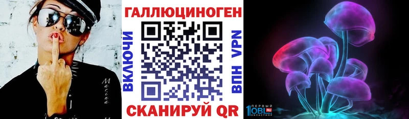 где найти наркотики Власиха Псилоцибиновые грибы Psilocybe
